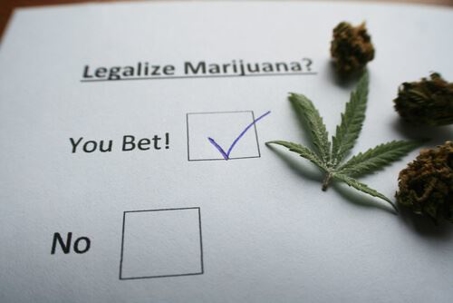checklist that reads, "legalize marijuana?" with pot leaf and marijuana on top